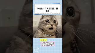 小浣熊：打人别打脸，打屁股