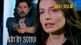 Meryem Tekin'den kurtulacak mı?  | Yaralı Kuşlar