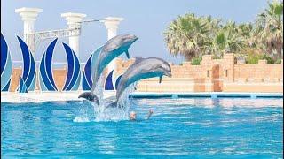 Sealanya Dolphin Park / Alanya Turkey 2024