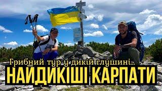 Коли захотілось грибних пригод!!! Їдемо у НайДикішу частину Карпат.