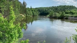 Национальный Парк Марий Чодра. Река Илеть.