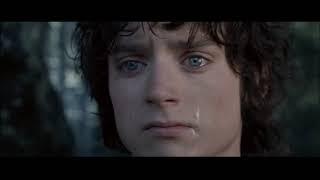 The Lord of the Rings: The Fellowship of the Ring