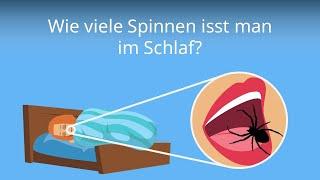 Wie viele Spinnen isst man im Schlaf? - Stimmt der Mythos?