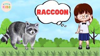 Raccoon Facts For Kids  Learn All About Raccoon | MON Kids