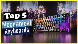 ‍️Top 5 Best Mechanical Keyboards in 2024 | Best Mechanical Keyboards