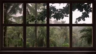 4K FAKE WINDOW : 10 HOURS     Tropical Storm with Rain & Thunder    FOR PROJECTOR