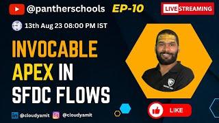 EP10 - Invocable Apex in Salesforce Flows #pantherschools #sfdcpanther