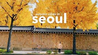 korea vlog  'old seoul's' stunning fall colors, neighborhood food tour, married for 10 years 