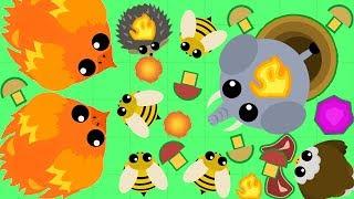 MOPE.IO ОБНОВЛЕНИЕ МОПИО ИНФА О НАШЕЙ СХОДКЕ ФЕНИКС КРУТ И ВЕСЕЛЫЕ ПЧЕЛКИ ИГРА MOPE IO