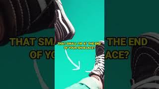 Meet the AGLET that little shoelace tip you never knew had a name! Now you sound 2% smarter.