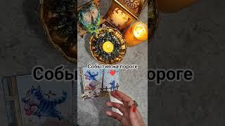 На пороге#таро #tarot #гадание #гаданиеонлайн #таролог #тароонлайн #тарорасклад #раскладтаро #магия
