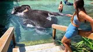 Incredible Moments Caught On Camera