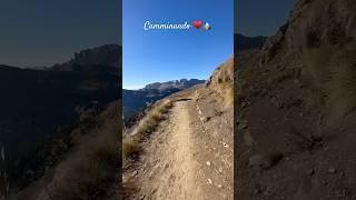 Alps Wild ️️#mountains #mountainsintomemories #travel #mountainmelodies #hiking #nature