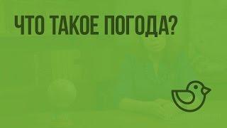 Что такое погода? Видеоурок по окружающему миру 2  класс