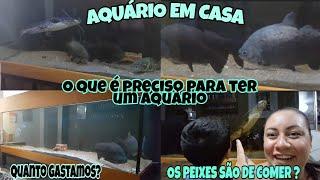 TUDO SOBRE NOSSO AQUÁRIO/COMO MANTER UM AQUÁRIO DE PEIXES DE RIO/GASTOS MENSAIS E MAIS