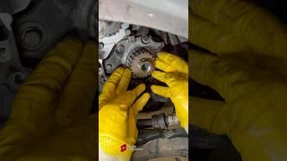 Timing Belt Replacement on FORD 2.0 TDCi – All the Details!