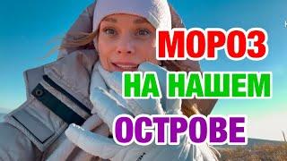 НУ ВОТ НАЧАЛОСЬ | ВСЕ ПО ДОМАМ | НЬЮ-ЙОРК СЕЙЧАС