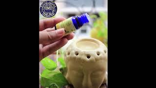 Relaxing Aromatherapy with Divine Aroma Ceramic Buddha Aroma Diffuser & pure essential oils