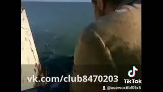 форд боярд.