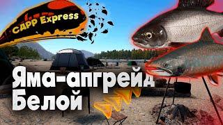 Основы р.Белой и р.Ямы. Проверка точек. / СДРР Express ( Русская рыбалка 4 )