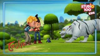 I FOUND SOMETHING - TASHI - Studio100 KIDS - KIDS cartoons️