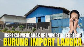 INSPEKSI MENDADAK KE GUDANG IMPORTIR BURUNG LANGKA TERBESAR BERNILAI MILYARAN DI PASAR PRAMUKA