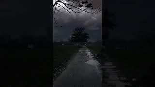 Relaxing Walk -Fatima's World