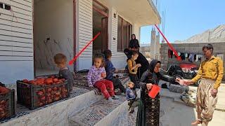 From the Search to a New Home: Jawad’s Journey Through Nomadic Life