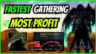 How to GATHER FASTER and PROFIT MORE in GUILD WARS 2 | Guide on Gathering Tools in GW2