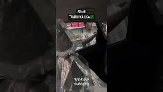 Kia sonet SIFATLI TANROVKA 999545666 944503999 #turtkul #turtkul95 #turtkulelonuz #car #turtkul