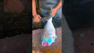 Expert Fish cuttinh #fishcutting #fishcutting_skills #shorts