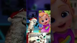 Zıpır Kedi İngilizce Sayı Sayıyor #kedi #zıpır #çizgifilm