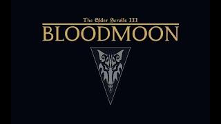 The Elder Scrolls III: Bloodmoon - 245) Защита колонии и Выполнение испытания Мудрости.