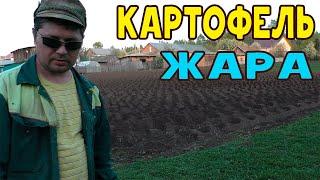 Посадили картофель! Жара! Хотел искупаться в бассейне!