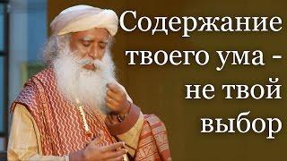 Садгуру - Содержимое вашего ума, это не ваш выбор