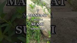 Berikut 7 manfaat menyusui suami sebelum Tidur #shortviral #fypシ゚viral