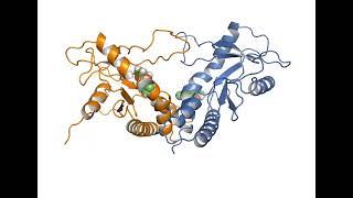 DMXAA - apo state  monomer leaves active site