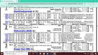 Best Horse Racing Handicapping Tutorial and Tips