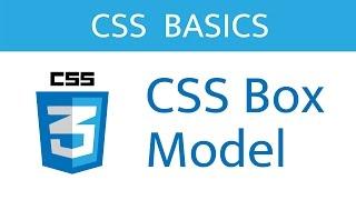 The CSS Box Model // CSS Basics