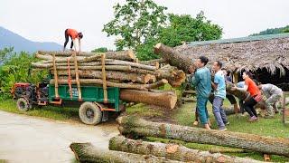 Use Truck To Buy Big Wood From villager And Transport Wood To The Wood Factory. Daily Farm