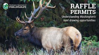 Understanding Washington's raffle hunt opportunities