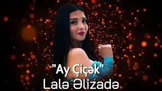 Lale Elizade - Ay Cicek 2024