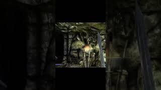 I may have problems with directions #skyrim #elderscrolls #skyrimae #games #gaming #gamer #games