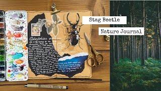 Stag Beetle Nature Journal 