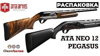 ATA ARMS Neo 12 и ATA ARMS PEGASUS. Обзор различных исполнений полуавтоматических ружей от ATA ARMS