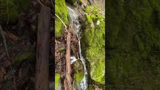 #soothingwatersounds #soothingwaterfalls