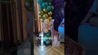 33 3146076 Qarshi shahar #happybirthday #birthday #animals #funny #funnyvideo #shorts #rek #trend