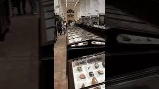 It will take 1 year to see all these stones