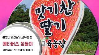 [통영 만지도]대한민국제과기능장 전수받은 맛기찬딸기농장 통영딸기빵 [맛기찬딸기교육농장][KBS N잡러스타트업크리에이터][통영가볼만한곳][통영맛집][통영여행][통영체험농장]