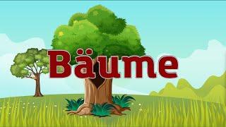 Bäume für Kinder | Teile eines Baumes für Kinder lernen | Baum und seine Teile für Kinder